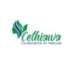 Diseño de Logos en Colombia (2)